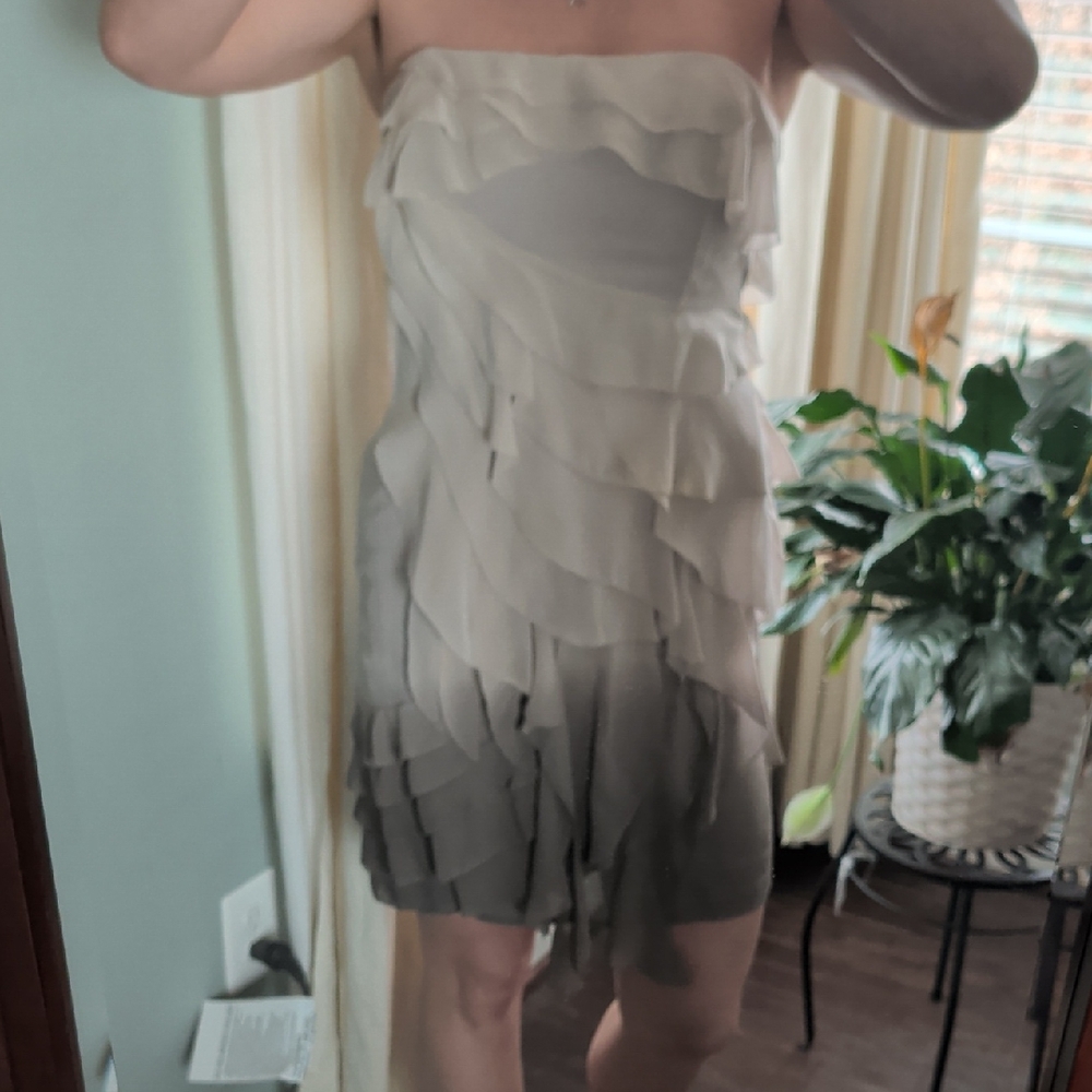 Karen Millen Strapless Dress in Gray Ombre